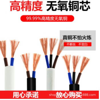阳谷大金电源线2芯3芯4芯RVV0.75 1.5 2.5平方软护套线电缆电线图2