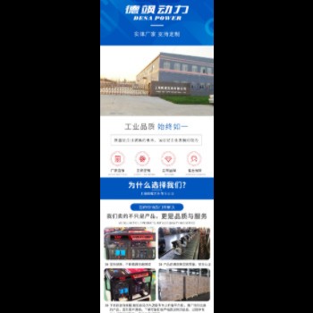 德飒动力10KW千瓦汽油发电机 220/380V电启动应急防汛物资发电机图2