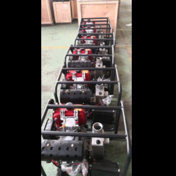 德飒2寸电启动 304不锈钢柴油机水泵 抽海水化工泵便携抽水泵图2