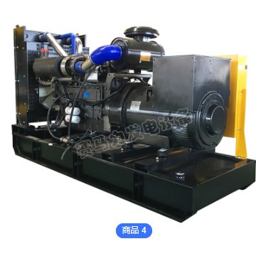潍坊柴油发电机组 20kw 小型柴油发电机 无刷永磁发电机图3