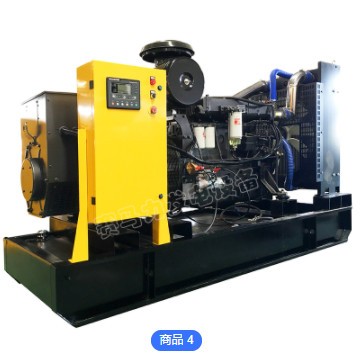 潍坊柴油发电机组 20kw 小型柴油发电机 无刷永磁发电机图2