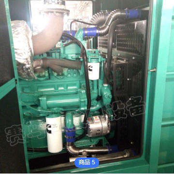 200kw帕金斯柴油发电机组 无刷永磁交流静音发电机 马拉松电机图3