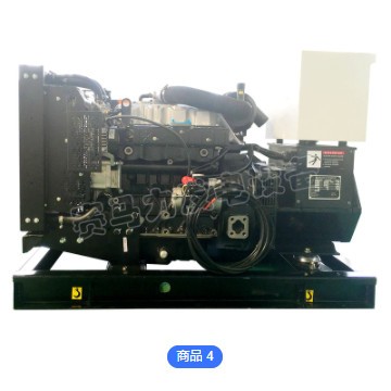 潍坊50kw柴油发电机组 小型静音无刷永磁交流同步发电机 水冷电机图2