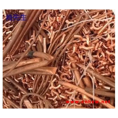 广东大量回收废铜