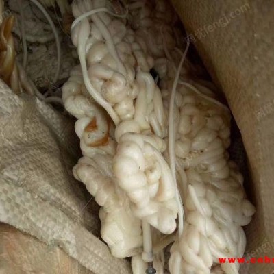 长期大量回收 abs废料