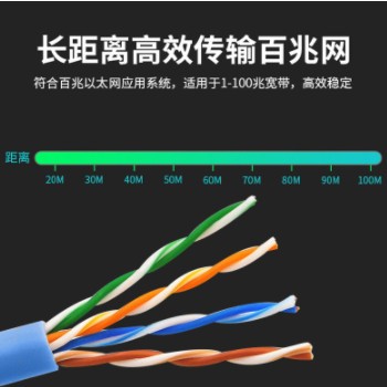 超五类网线UTP CAT5E 0.5无氧铜非屏蔽网络线 POE监控双绞线300米图3