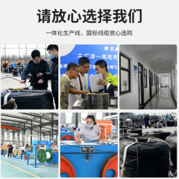 铜芯zc-yjv3+2电力电缆4/6/10/16/25/35/50/70/95/120/平方交联线图3