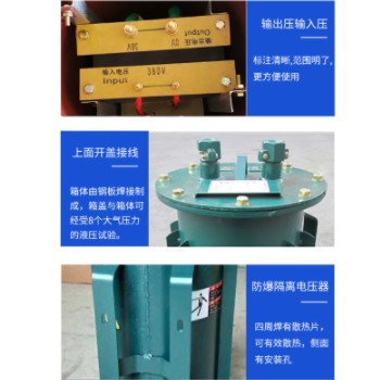 矿用防爆干式变压器 KDG/KSG-2.5KVA-10KVA 1140V/660V/380V/22图3