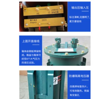 矿用防爆干式变压器 KDG/KSG-2.5KVA-10KVA 1140V/660V/380V/22图3