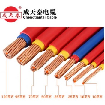 厂家直供成天泰 BVV1*10-300平方双塑纯铜多股绝缘电线工业护套线图2