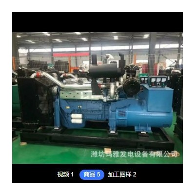 潍坊200千瓦kw发电机组 工地房地产纯铜无刷大功率柴油机发电机组