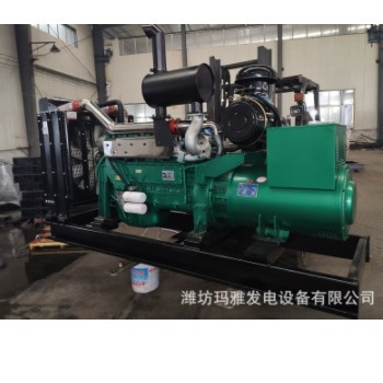 潍坊200千瓦发电机组商场医院学校备用200kw柴油发电机组自动化图2
