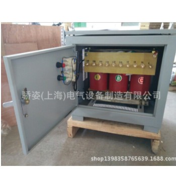 DG-20kva/kw单相干式变压器380v220v转127v110v75v48v36v24v12v图3