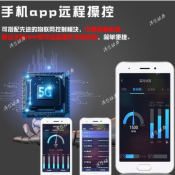 玉柴300kw柴油发电机组 房地产工程静音箱发电机 抗洪排涝 发电机图2
