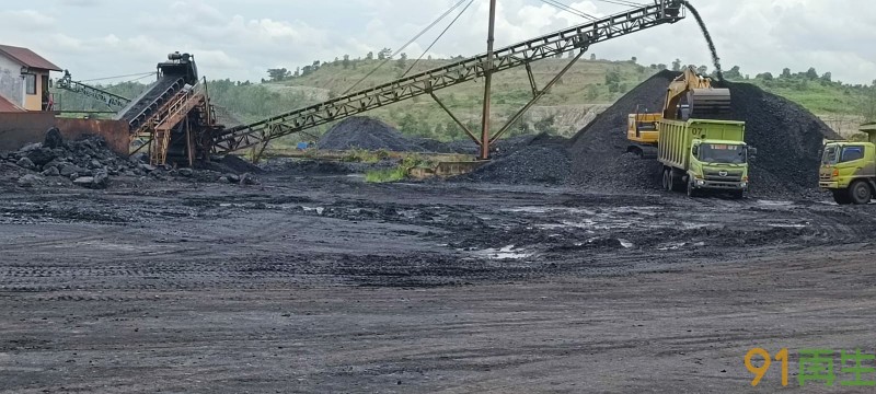 2023-5-17最新：蒸汽煤，进口欧美期货供应