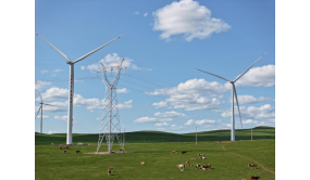 科技赋能向“新”逐“绿” “风光”无限好